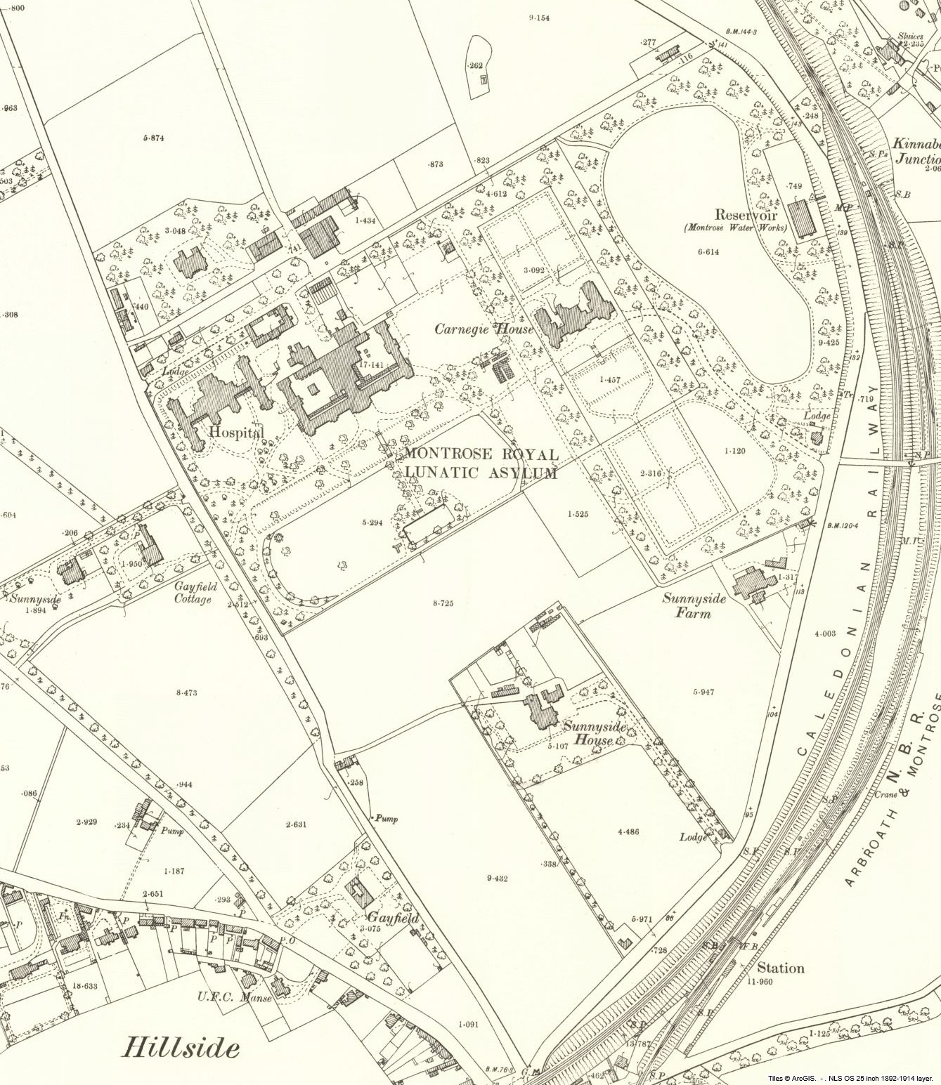 Sunnyside – Untangled Family History