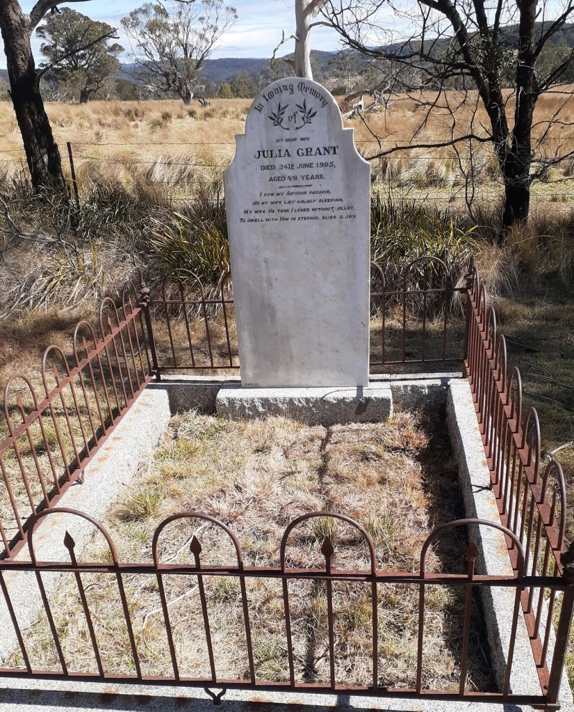 Photograph of the grave and headstone of Julia Grant nee Collins after cleaning, Majors Creek Cemetery, New South Wales.