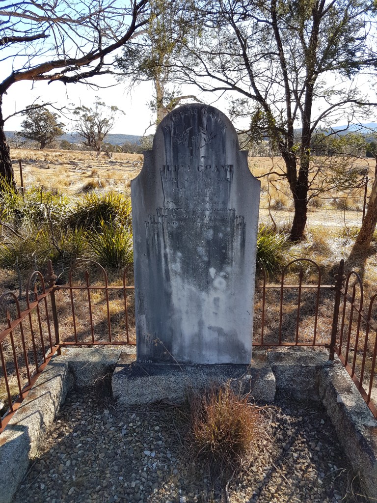 Photograph of the grave and headstone of Julia Grant nee Collins before cleaning, Majors Creek Cemetery, New South Wales