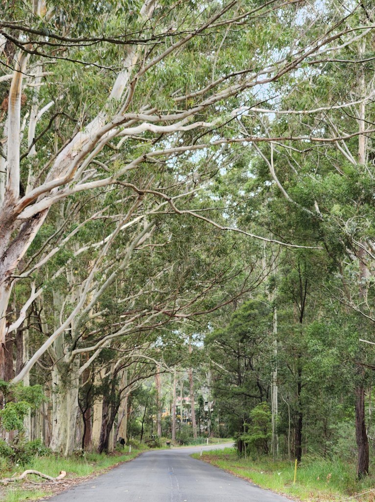 Photograph of Kells Road, Tomerong